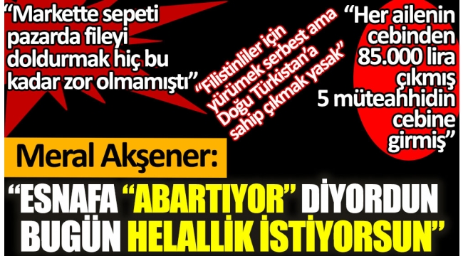 Meral Akşener'den Erdoğan'a: Hangi yüzle helallik istiyorsun kardeşim?