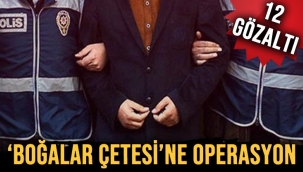 Ankarada, "Boğalar Çetesi" suç örgütüne "Matador Operasyonu"