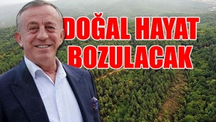 Ağaoğlundan Milasta doğa katliamı: 30 bin kişilik kent kurulacak