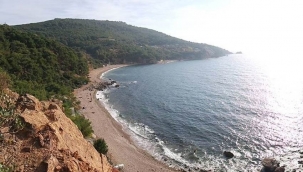 Burgazadadaki Madam Martha Koyu için ihale!