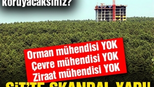 SİT'te skandal yapı: Doğayı, tarihi, kültürü böyle mi koruyacaksınız!