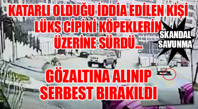 Başakşehirde dehşet anları: Bir köpek feci şekilde öldü