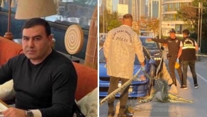 Bir mafya cinayetinin anatomisi