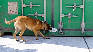 Hollanda tarihinin en büyük uyuşturucu operasyonunda 600 milyon Euro'luk kokain ele geçirildi