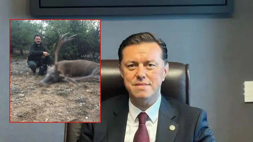 AKP'li Hatipoğlu'nun vaadi yatsıya kadar yandı: Hayvan Bakımevi dedi, öldürdüğü avlarla fotoğrafları çıktı